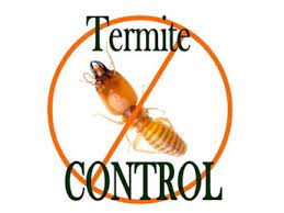 Termite pest control