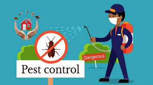 Pest Control AMC