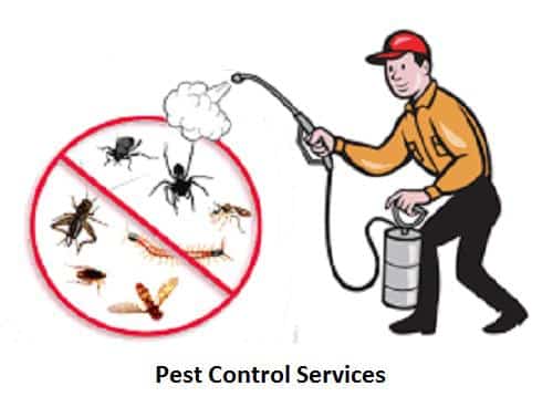 Pest control services