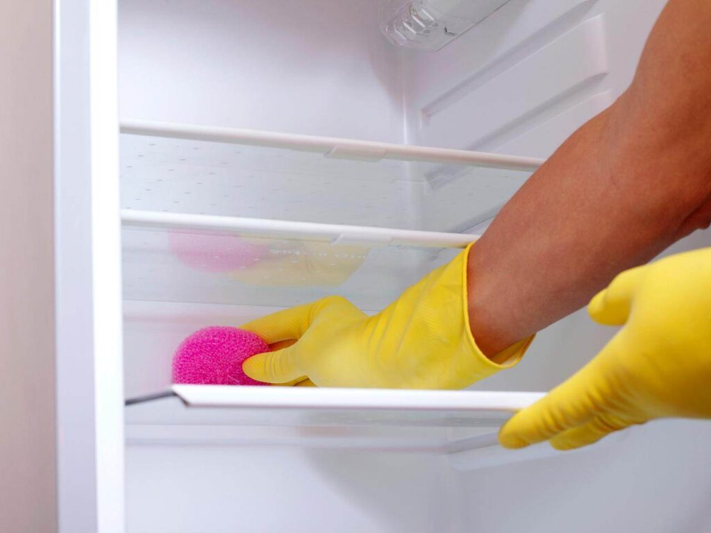 Fridge Cleaning