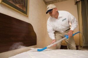 Bed bugs pest control 1