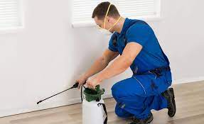 Pest Control Annual Maintenance Contract