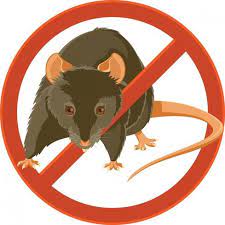 Rodents pest control
